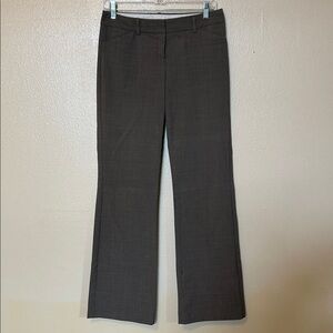 Express Brown Editor Pant